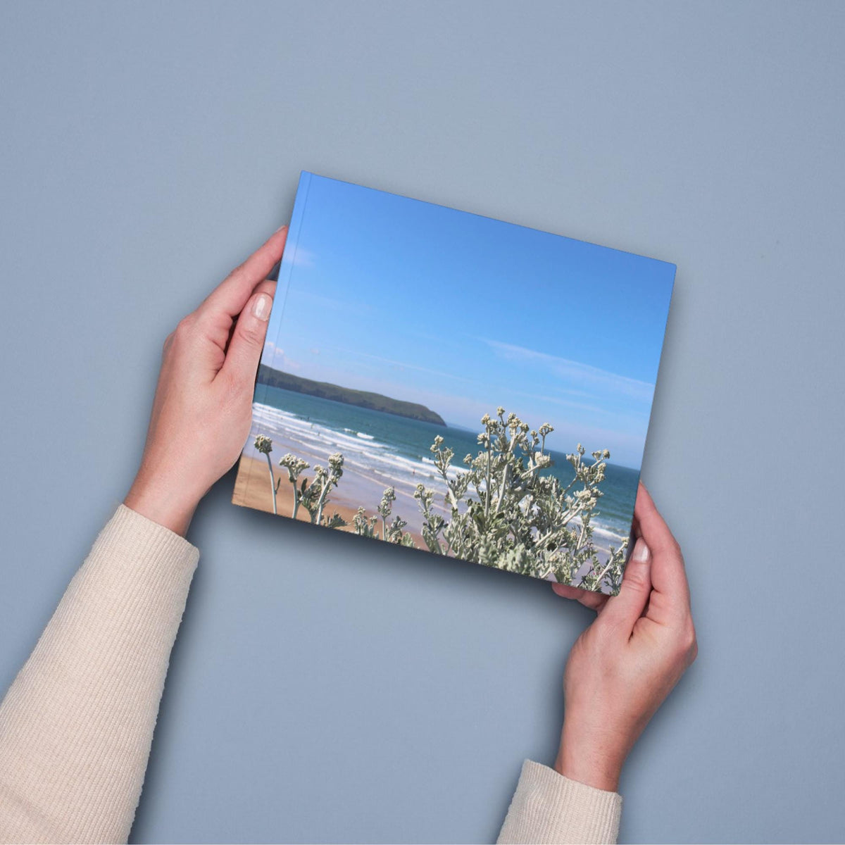 Cornwall Seaside Wall Art - Ragwort Flowers with Ocean View
