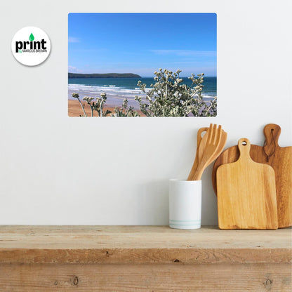 Cornwall Seaside Wall Art - Ragwort Flowers with Ocean View
