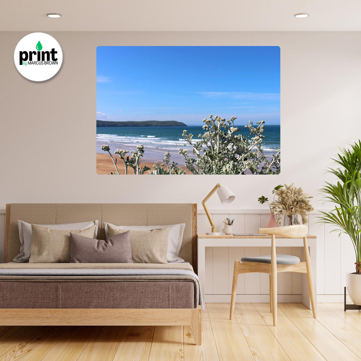 Cornwall Seaside Wall Art - Ragwort Flowers with Ocean View