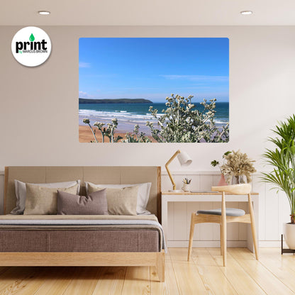 Cornwall Seaside Wall Art - Ragwort Flowers with Ocean View