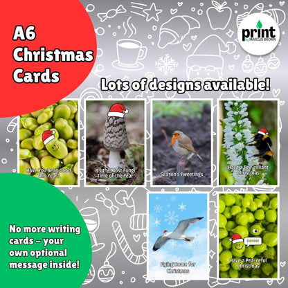 Robin Christmas Cards Pack | Season’s Tweetings Christmas Card | British Bird Xmas Cards | Nature Wildlife Christmas Cards A6