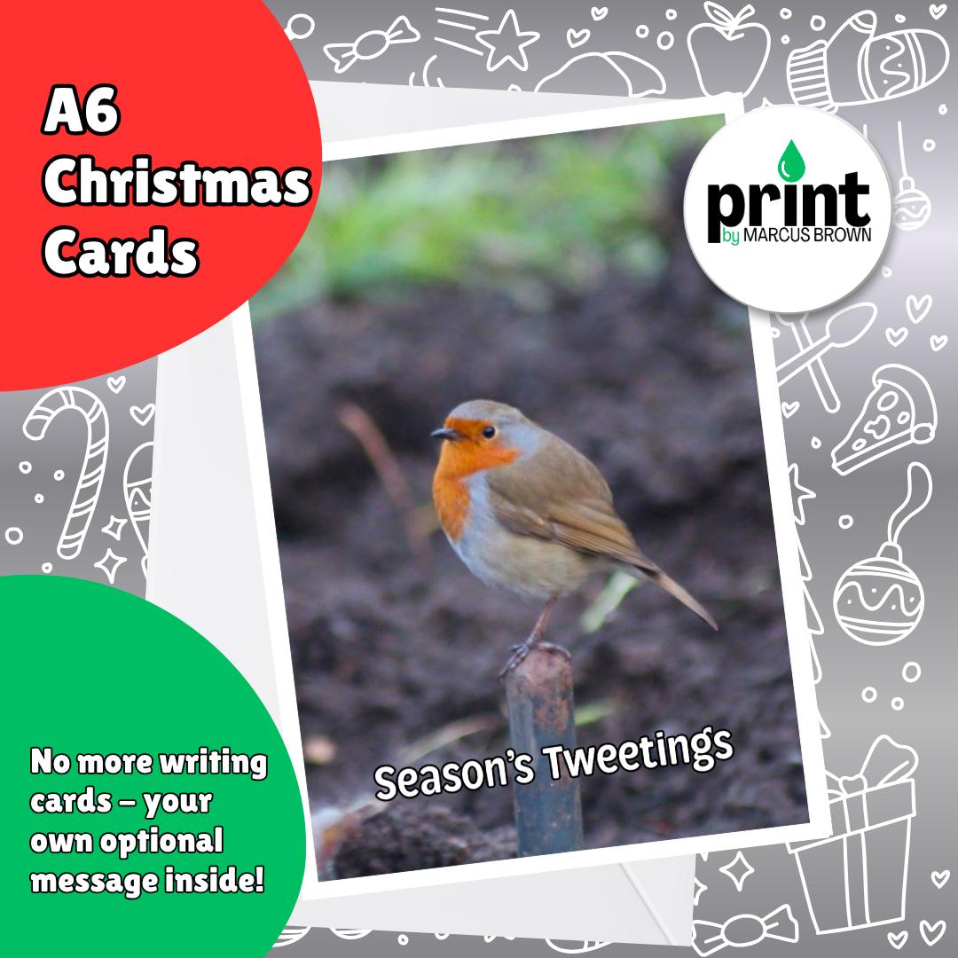 Robin Christmas Cards Pack | Season’s Tweetings Christmas Card | British Bird Xmas Cards | Nature Wildlife Christmas Cards A6