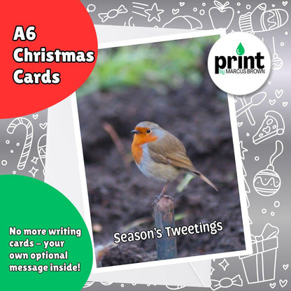 Robin Christmas Cards Pack | Season’s Tweetings Christmas Card | British Bird Xmas Cards | Nature Wildlife Christmas Cards A6