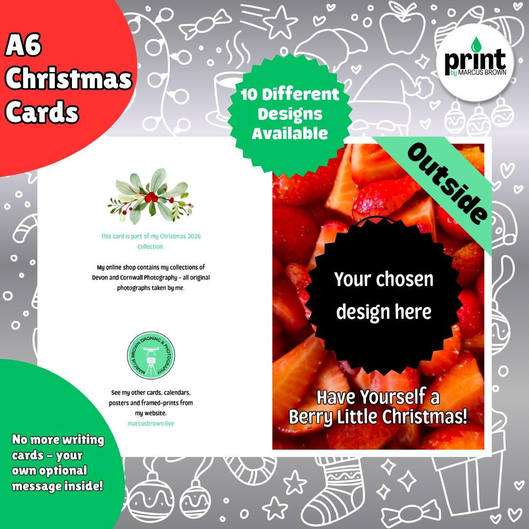 Bee Christmas Cards Pack | Bee-rilliant Christmas Card | Funny Bumblebee Xmas Cards | Nature Wildlife Christmas Cards A6