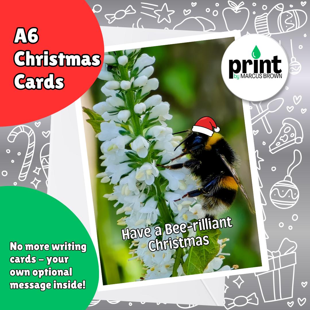 Bee Christmas Cards Pack | Bee-rilliant Christmas Card | Funny Bumblebee Xmas Cards | Nature Wildlife Christmas Cards A6