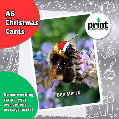 Bee Christmas Cards Pack | Bee Merry Christmas Card | Funny Bumblebee Xmas Cards | Bee Lover Nature Christmas Cards A6
