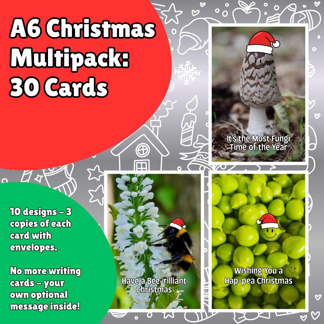 30 Christmas Cards Multipack | 10 Funny Nature Designs | 3 of Each | Christmas Card Variety Pack | Optional Printed Message A6