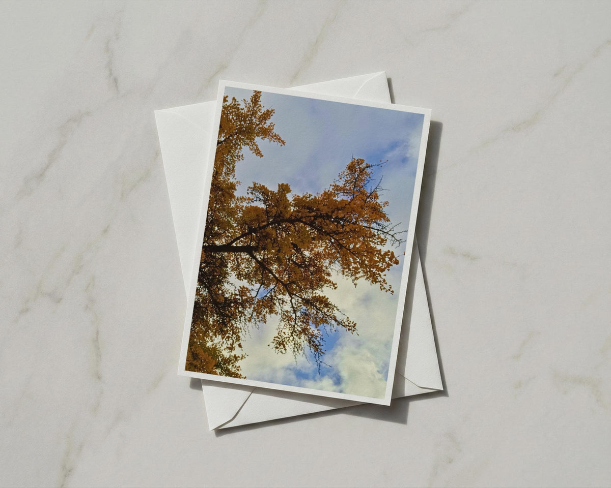 Autumn Tree Canopy Card, Golden Leaves Blue Sky, Nature Photography Greeting Card