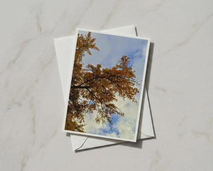 Autumn Tree Canopy Card, Golden Leaves Blue Sky, Nature Photography Greeting Card