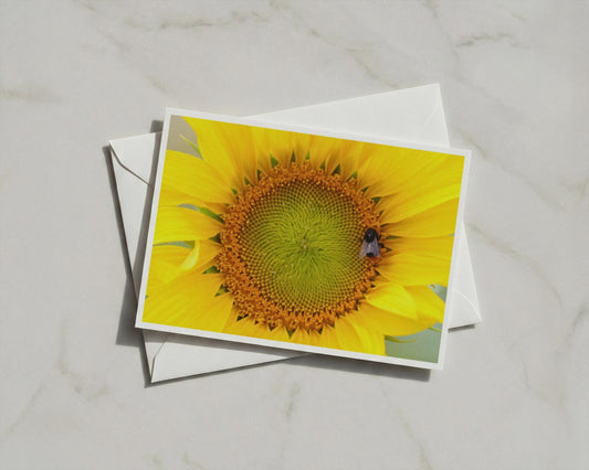 Sunflower Bumblebee Card, Yellow Flower Close Up, Nature Wildlife A6 Greeting Card