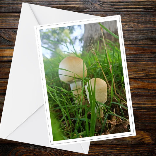 Green-spored Parasol Mushrooms Greeting Card | Fungi, Woodland, Nature, Botanical, Wildlife, Handmade, All Occasion Card