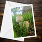 Green-spored Parasol Mushrooms Greeting Card | Fungi, Woodland, Nature, Botanical, Wildlife, Handmade, All Occasion Card