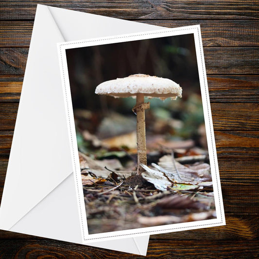 Parasol Mushroom Fungi Greeting Card | Woodland Nature Botanical Card | Unique Mycology Wildlife All Occasion Card