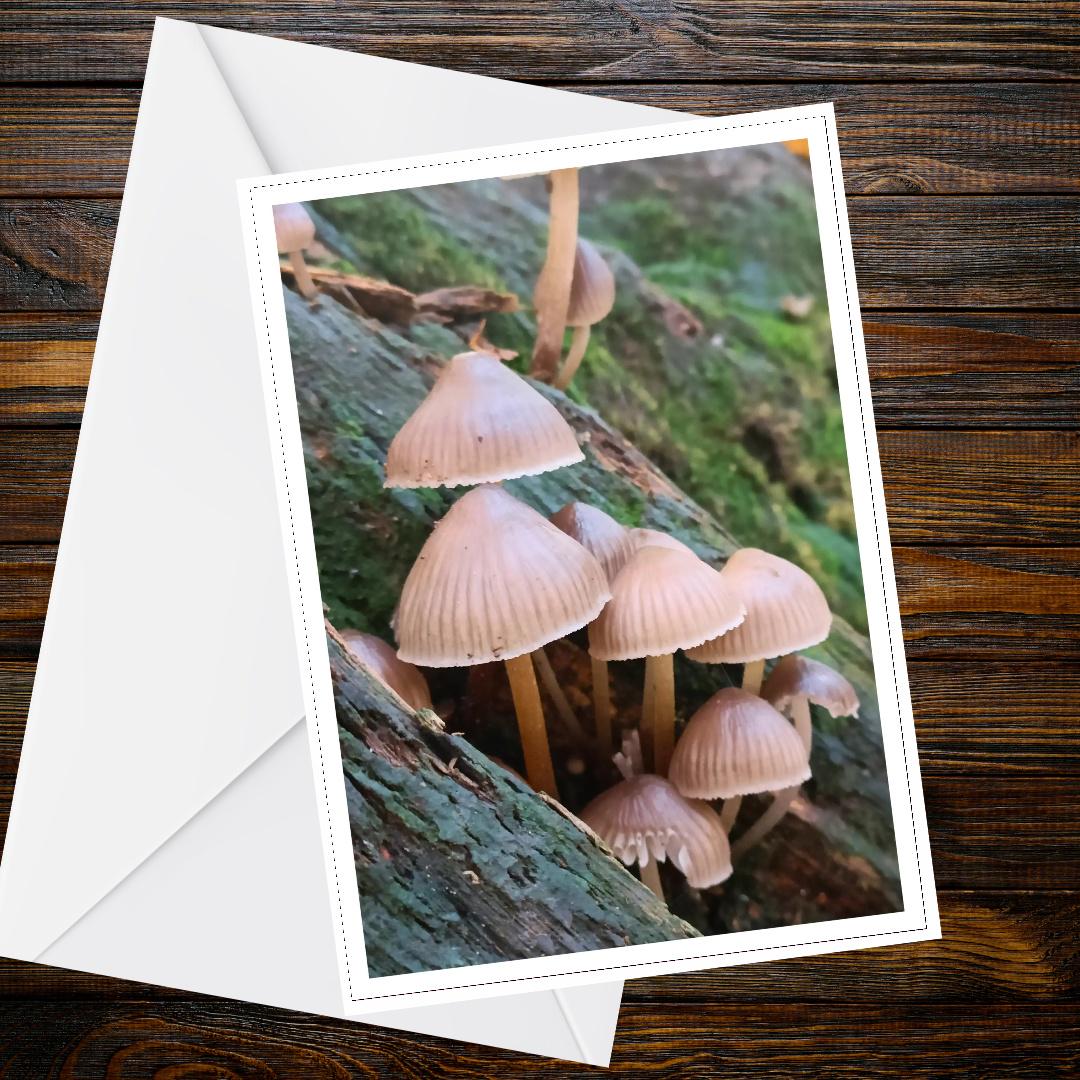 Fairy Bonnet Fungi Greeting Card | Nature, Woodland, Botanical, Mushroom, Forest, Wildlife, FSC Certified, Handmade, All Occasion Card