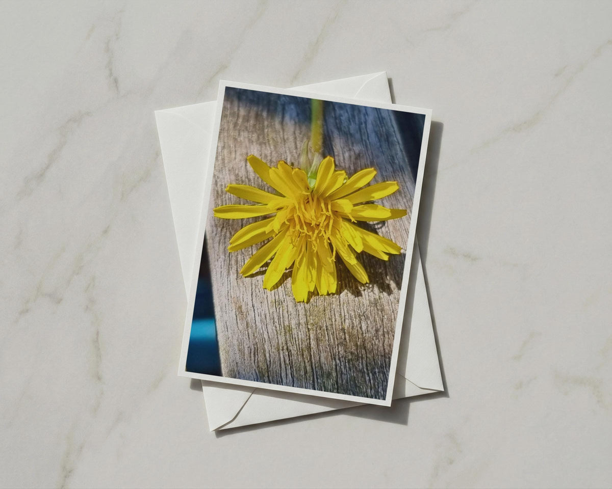 Yellow Dandelion Flower Card, Macro Floral Photography, Wildflower Nature Card