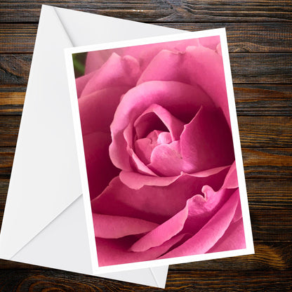 Deep Pink Rose Greeting Card - A6 Floral Photo, Summer Flower Collection, Blank Inside, 250gsm