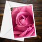 Deep Pink Rose Greeting Card - A6 Floral Photo, Summer Flower Collection, Blank Inside, 250gsm