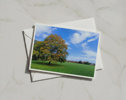 Autumn Tree Landscape Poster, English Park Framed-Print, Golden Leaves Wall Art, British Countryside Nature Photography Print