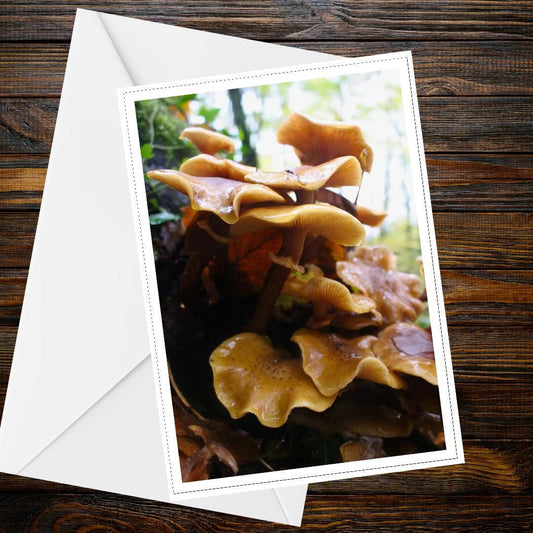 Honey Fungus Fungi Greeting Card | Nature, Woodland, Botanical, Forest, Mycology, Wildlife, Handmade, All Occasion Card, FSC Certified