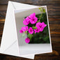 Bright Magenta Bougainvillea Bracts Close-Up A6 Greetings Card - Inspired by Eden Collection