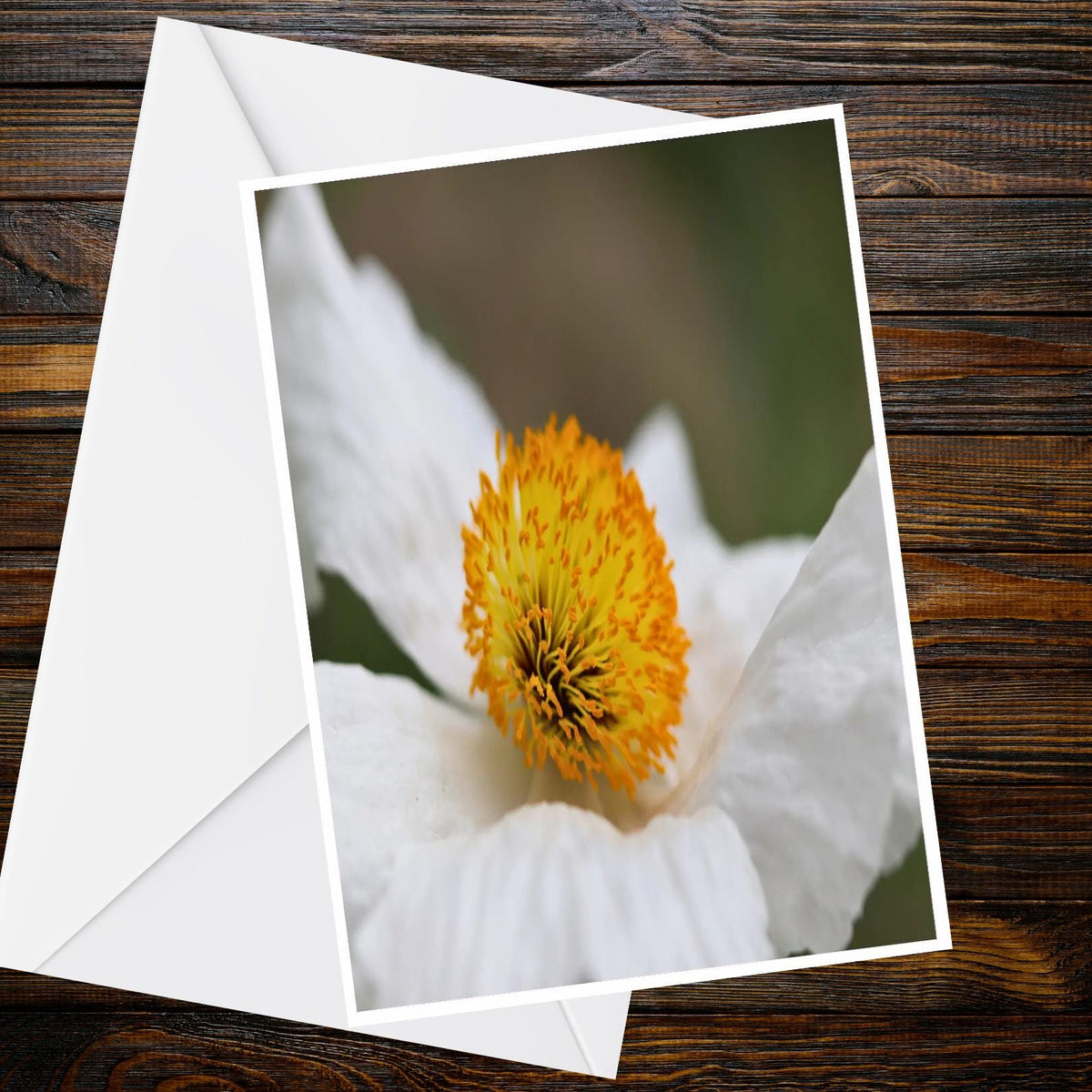 White Romneya (Matilija Poppy) Macro A6 Greetings Card — Floral Photo Card, Summer Flower Collection