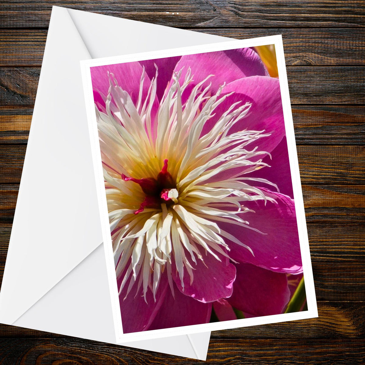 Pink Peony Macro Greeting Card | A6 Floral Art, Blank Inside