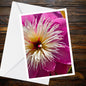Pink Peony Macro Greeting Card | A6 Floral Art, Blank Inside