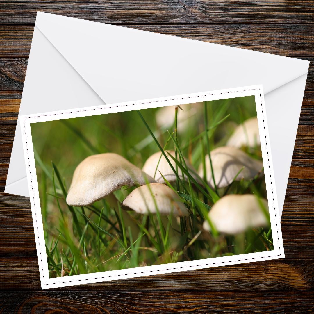 Fairy ring mushroom Greeting Card, Botanical Fungi Art, Woodland Nature Inspired Stationery, Eco Friendly Gift for Botanical Lovers