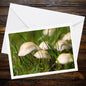 Fairy ring mushroom Greeting Card, Botanical Fungi Art, Woodland Nature Inspired Stationery, Eco Friendly Gift for Botanical Lovers