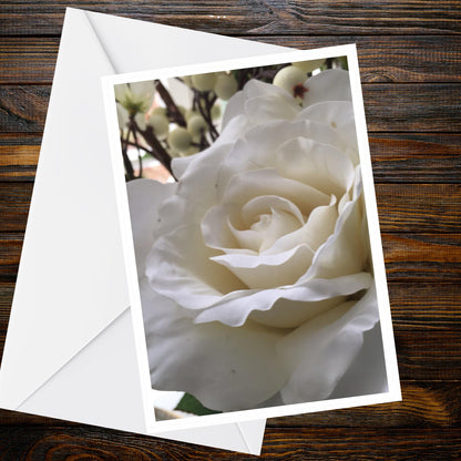 White Rose Greeting Card A6 — Creamy Macro Floral | Summer Flower Collection
