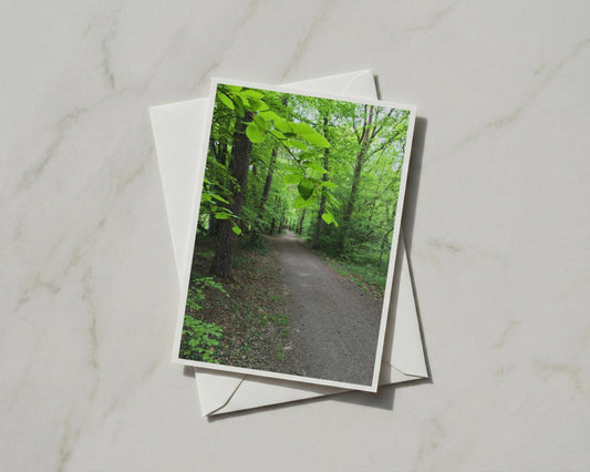 Forest Path Greeting Card, Green Woodland Walk, Nature Tree Card, Blank Inside A6