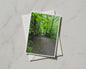 Forest Path Greeting Card, Green Woodland Walk, Nature Tree Card, Blank Inside A6
