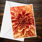 Dahlia Orange Cream Speckled with Crimson Greeting Card - Summer Flower Collection