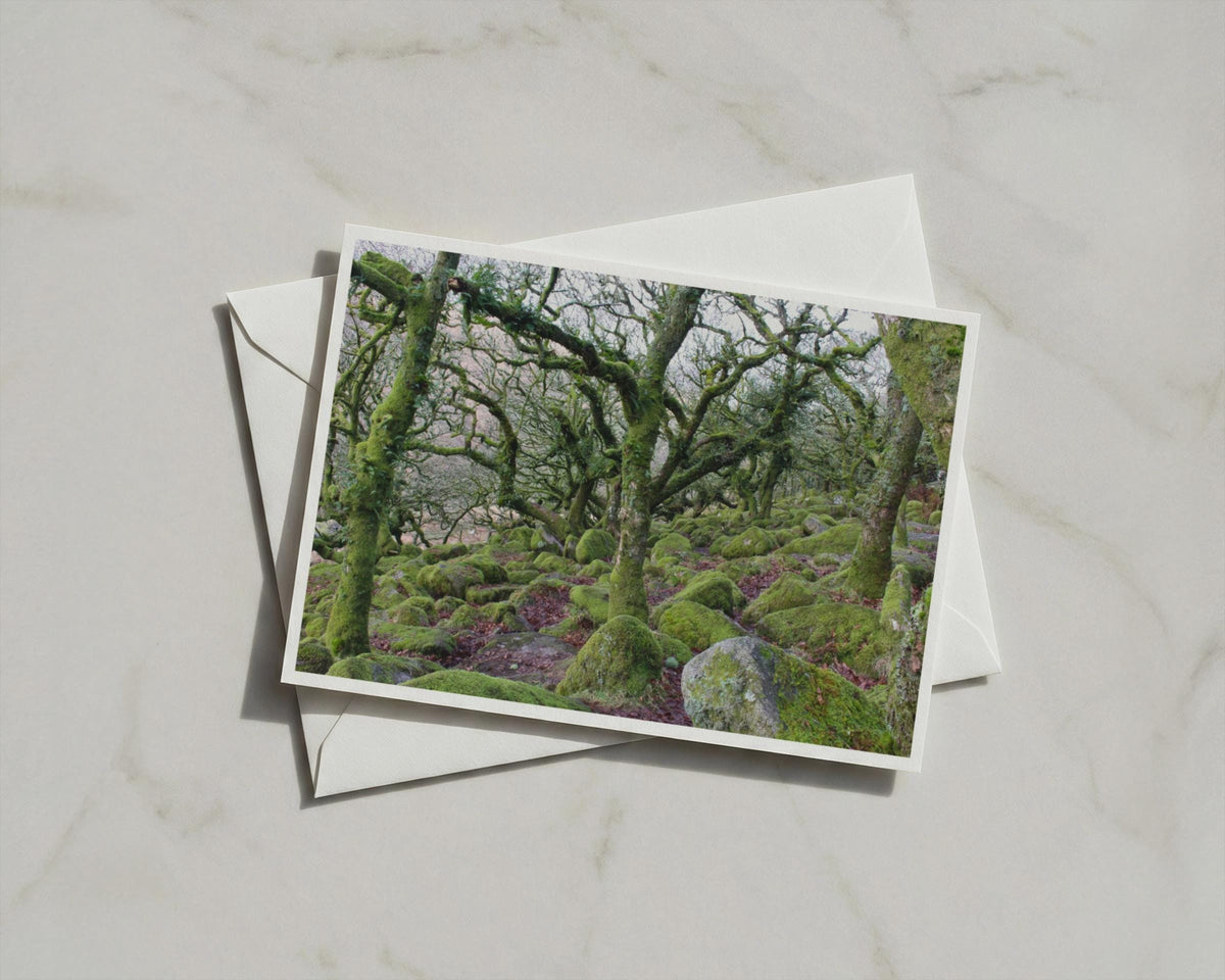 Ancient Mossy Oak Woodland Poster, Enchanted Forest Framed Print, Green Trees Nature Wall Art, Dartmoor Celtic Wood Landscape Photography