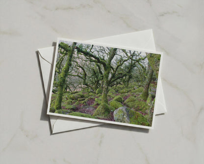 Ancient Mossy Oak Woodland Poster, Enchanted Forest Framed Print, Green Trees Nature Wall Art, Dartmoor Celtic Wood Landscape Photography