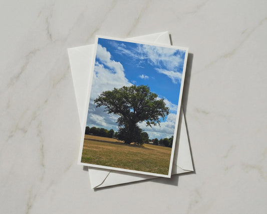 Solitary Oak Tree Card, English Countryside Summer Sky, Nature Green Blue Greeting Card