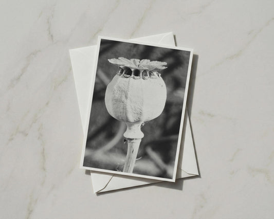Poppy Seed Head Card, Black and White Botanical A6 Card, Monochrome Nature Greeting Card