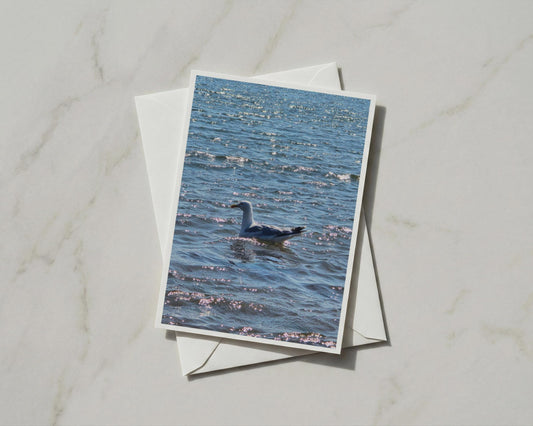 Seagull on Sparkling Sea Card, Coastal Wildlife A6 Card, Blue Ocean Bird Greeting Card