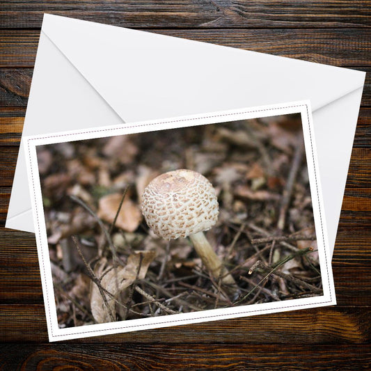 Parasol Mushroom Fungi Greeting Card | Botanical Woodland Nature Note Card | Wildlife Art, Eco-Friendly Gift for Nature Enthusiasts
