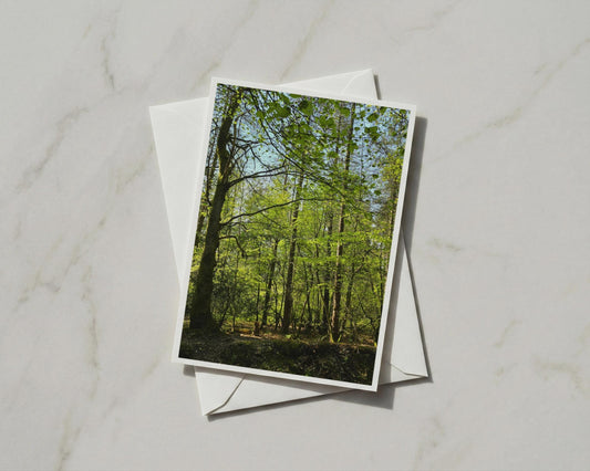 Sunlit Forest Card, Green Woodland Trees A6 Greeting Card, Nature Photography