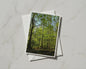 Sunlit Forest Card, Green Woodland Trees A6 Greeting Card, Nature Photography