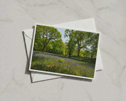 Bluebell Wood Landscape Poster, British Woodland Framed-Print, Spring Forest Nature Photography, Purple Wildflower Green Trees Wall Art