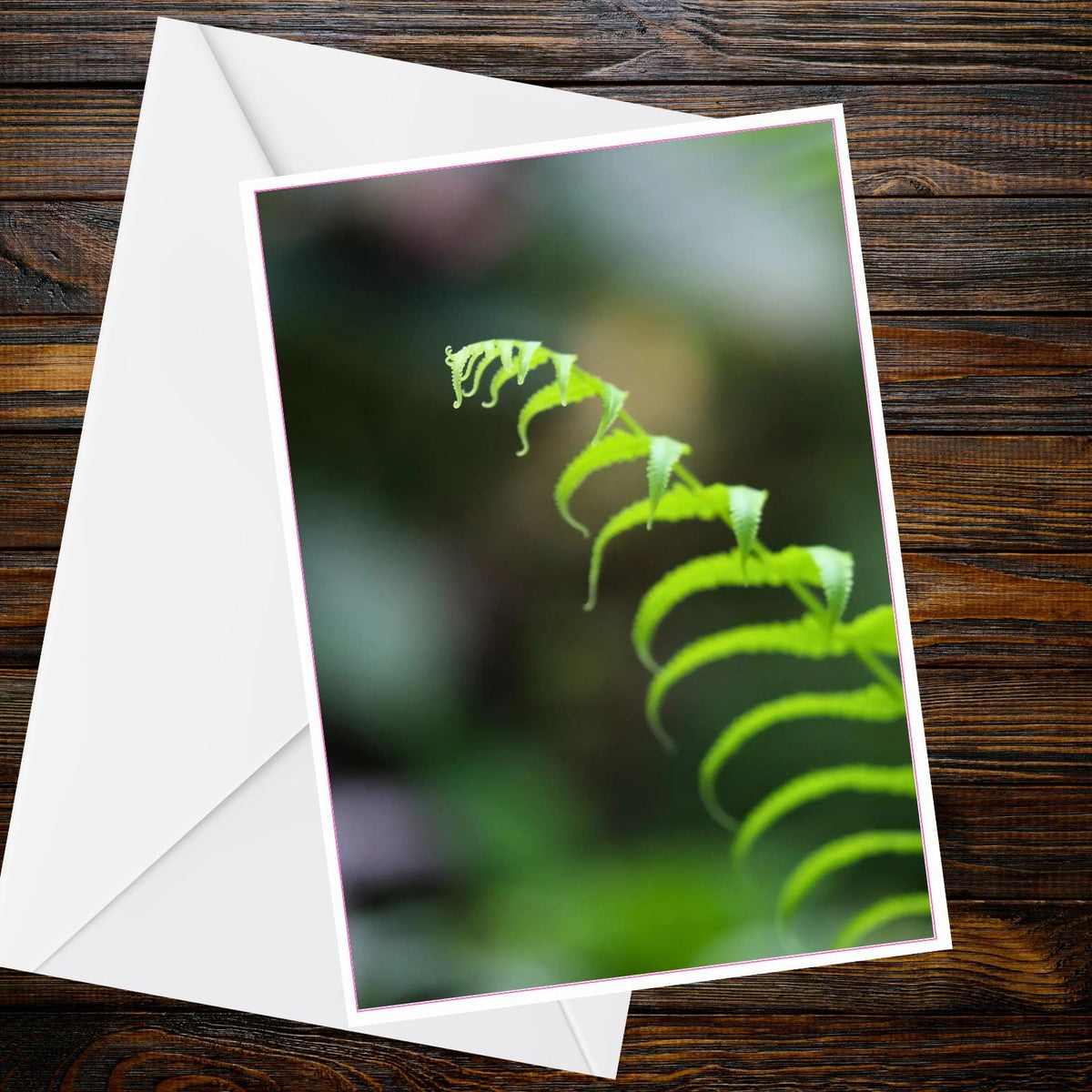 A6 Fern Frond Card – Abstract Minimal Botanical Nature Photography