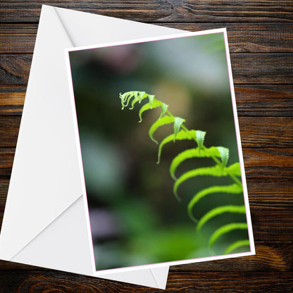 A6 Fern Frond Card – Abstract Minimal Botanical Nature Photography