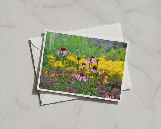 Echinacea Garden Card, Pink Coneflower A6 Card, Summer Wildflower, Blank Inside