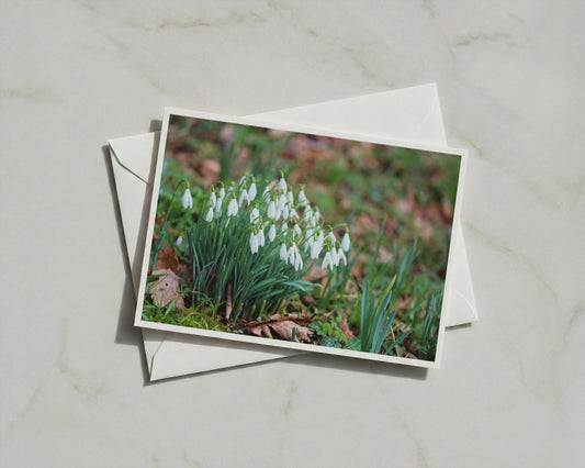 Snowdrop Flowers Card, White Spring Botanical A6 Card, Garden Nature Photo Greeting Card