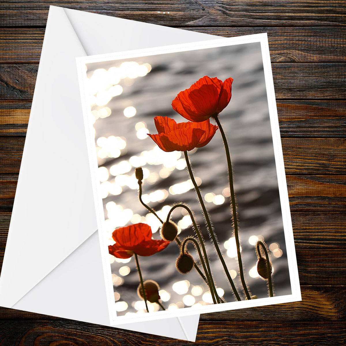 Red Poppies Greeting Card – Backlit Floral Photo, Golden Hour Water Reflections (A6)