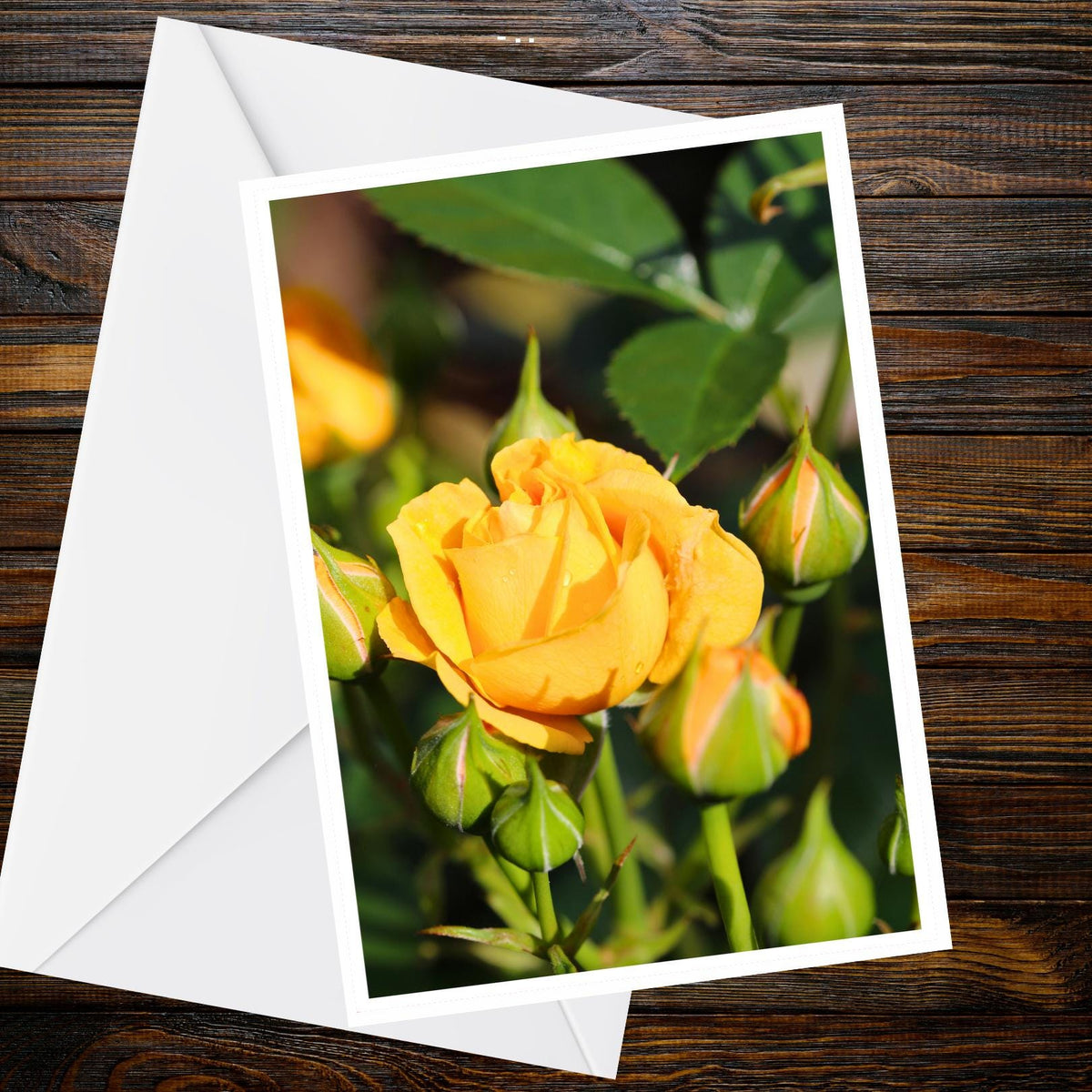 Yellow Rose Spray greeting card – A6 floral photo, Summer Flower Collection