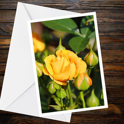 Yellow Rose Spray greeting card – A6 floral photo, Summer Flower Collection