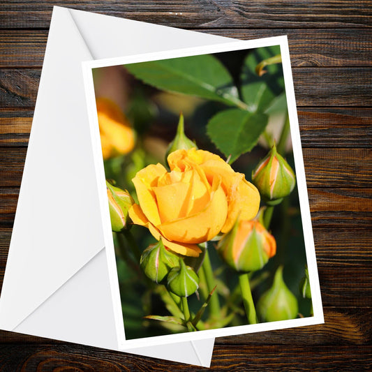 Yellow Rose Spray greeting card – A6 floral photo, Summer Flower Collection
